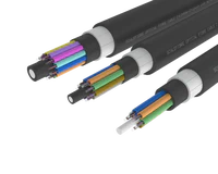 
Cable de fibra óptica exterior de tubo holgado blindado de alta
resistencia: PE/PA/PE, 72, 96 y 144 fibras