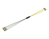 FlexSHUFFLE™ 4x4 MPO-8 Shuffle Assembly, Single Mode (G.657.A1), 32 Fiber