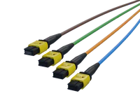 FlexSHUFFLE™ Upstream MPO-8 Legs, Color Coded Blue, Orange, Green and Brown