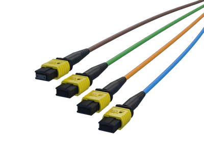 FlexSHUFFLE™ Upstream MPO-8 Legs, Color Coded Blue, Orange, Green and Brown