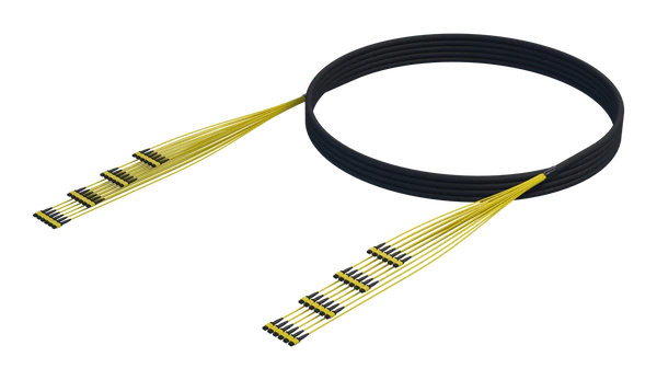 Indoor/Outdoor MPO Trunk Assembly, 288 Fiber, SmartRIBBON™