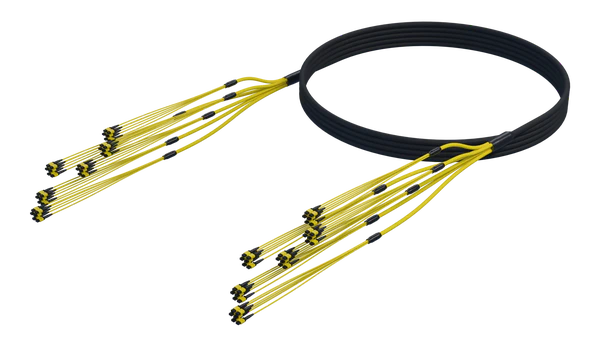 Indoor/Outdoor MPO Trunk Assembly, 288 Fiber, SmartRIBBON™