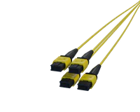 12 Fiber MPO Connectors