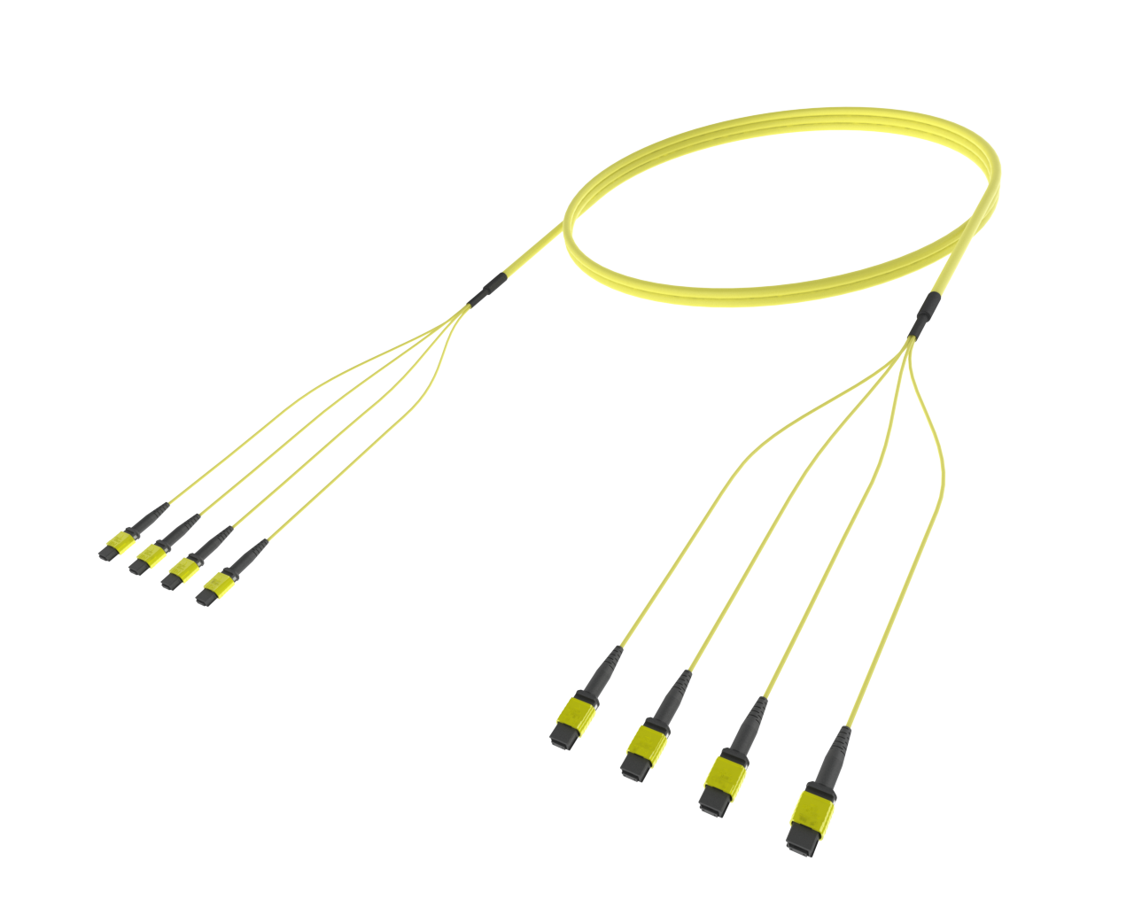 48 Fibre Single Mode MPO(12F) Trunk