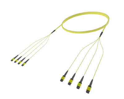 48 Fibre Single Mode MPO(12F) Trunk