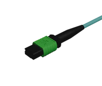 Conector MPO de contacto físico angular en multimodo OM4