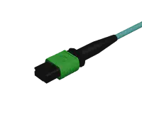 Connecteur à contact physique coudé MPO sur OM4 multimode