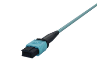 12 Fiber OM4 Multi Mode MPO Connectors, Aqua