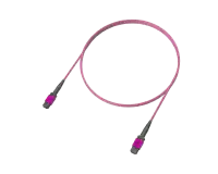 Trunk 12 fibres OM4 multimode MPO (12F), Erika Violet