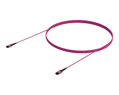 Jonction MPO Multimode (12F) OM4 à 12 fibres, Erika Violet