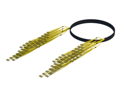 Indoor/Outdoor MPO Trunk Assembly, 3456 Fiber, SmartRIBBON™