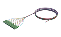 Pigtail de fibra óptica monomodo com buffer de 900 µm, SC/APC, colorido, pacote com 12 unidades