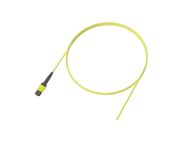 Flexible Ribbon Optical Pigtail, 12 Fibre, SC/UPC