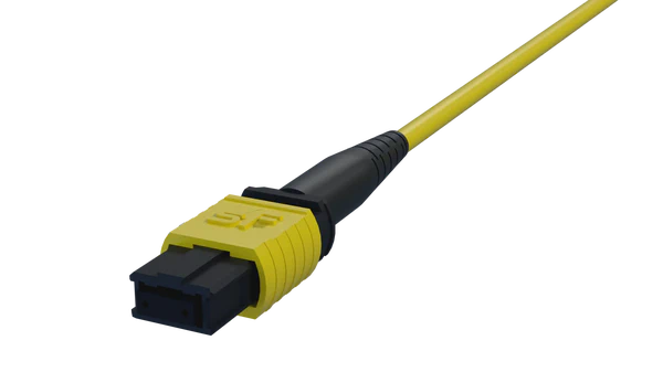 Pigtail MPO a fibra desnuda, 12 fibras, cubierta de 3 mm