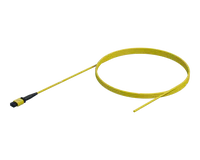 MPO to Bare Fiber Pigtail, 12 Fiber, 3mm Jacket