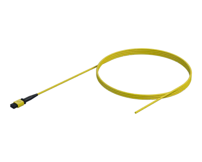 MPO to Bare Fiber Pigtail, 12 Fiber, 3mm Jacket