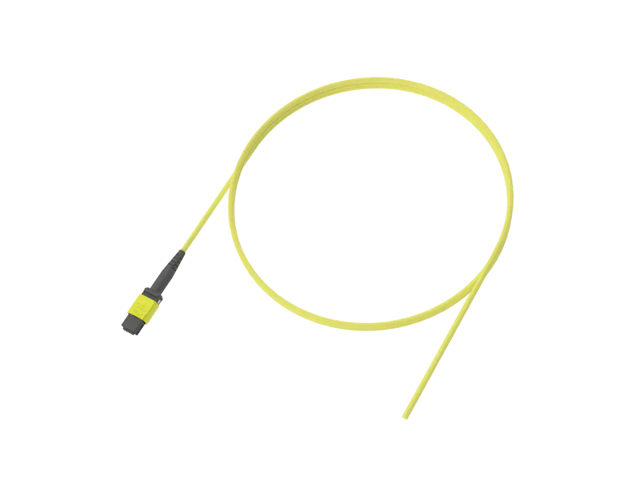 Câble MPO à fibre nue, 12 fibres, gaine de 3 mm