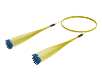 LC/UPC Micro Cable Assembly, 24-Fiber, Single-mode G.657.A1