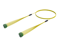 SC/APC Micro Cable Assembly, 12-Fiber, Single-mode G.657.A1