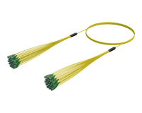 SC/APC Micro Cable Assembly, 24-Fiber, Single-mode G.657.A1