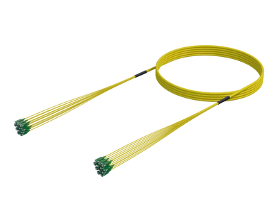 Conjunto de cable de fibra preterminado SC/APC-SC/APC, monomodo G.657.A1, 12 fibras