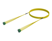 Conjunto de cable de fibra preterminado SC/APC-SC/APC, monomodo G.657.A1, 12 fibras