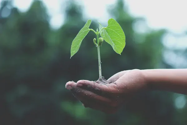 Gestion environnementale